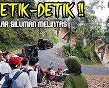 Ular Kobra Raksasa Di Dunia